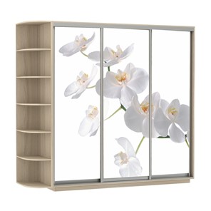 Шкаф 3-дверный Е1 Экспресс со стеллажом, 2100х600х2200, Орхидея белая/шимо светлый в Саратове