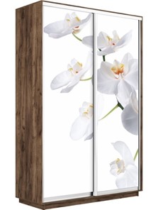Шкаф 2-х дверный Экспресс 1200x450x2200, Орхидея белая/дуб табачный в Балаково