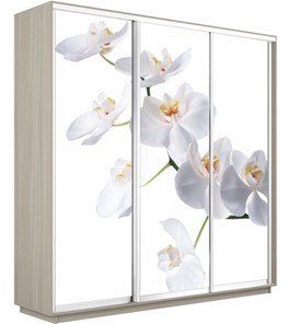Шкаф 3-дверный Е1 Экспресс 2400х600х2200, Орхидея белая/шимо светлый в Саратове