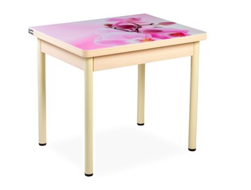 Кухонный пристенный стол СПА-02 СТФ, молочный дуб/фотопечать орхидея/опоры бежевый в Энгельсе