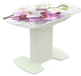 Кухонный раскладной стол Корсика исп. 1 Фотопечать (Цветы №44) 1100(1415)*700 в Саратове