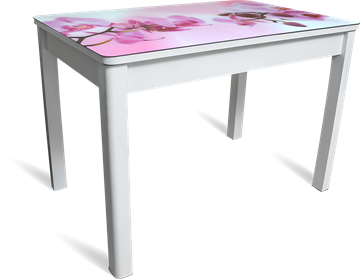 Кухонный стол раздвижной Айсберг мини СТФ, белое лдсп/орхидея/40 прямые массив белые в Энгельсе