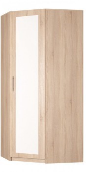 Угловой шкаф распашной Реал (YR-230х884 (9)-М Вар.1), с зеркалом в Саратове - изображение
