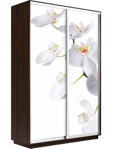 Шкаф Экспресс 1400x600x2400, Орхидея белая/венге в Саратове