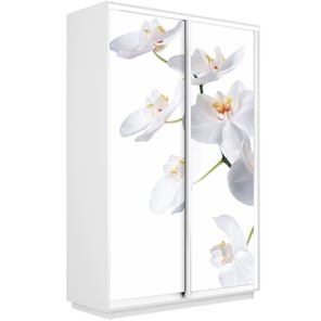 Шкаф двухдверный Экспресс 1600x450x2400, Орхидея белая/белый снег в Энгельсе