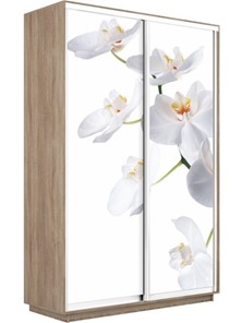 Шкаф-купе Экспресс 1600x450x2400, Орхидея белая/дуб сонома в Саратове