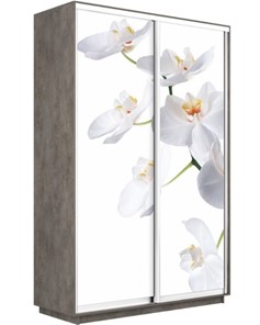 Шкаф-купе двухдверный Экспресс 1600x600x2400, Орхидея белая/бетон в Саратове