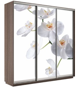 Шкаф 3-х створчатый Экспресс 1800х600х2200, Орхидея бела/шимо темный в Саратове - предосмотр