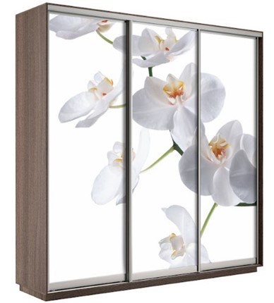 Шкаф 3-х створчатый Экспресс 1800х600х2200, Орхидея бела/шимо темный в Саратове - изображение