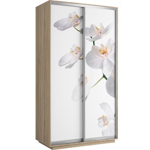 Шкаф Хит 1200x600x2200, белая орхидея, ясень шимо светлый в Саратове