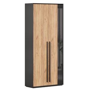 Шкаф для прихожей 2-дверный Неаполь ЛД.134050.000 (Черный/Дуб Золотой) в Саратове