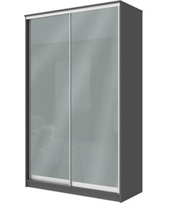 Шкаф двухдверный Хит-22-12-22 с цветным стеклом, средне-серый 074, Графит в Энгельсе - предосмотр
