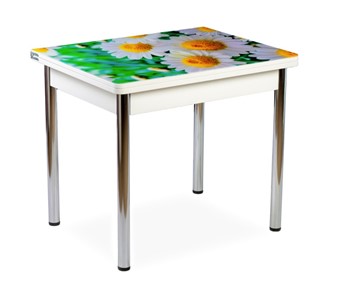 Кухонный стол СПА-01 СТФ, белый/фотопечать ромашки/опоры прямые хром в Энгельсе