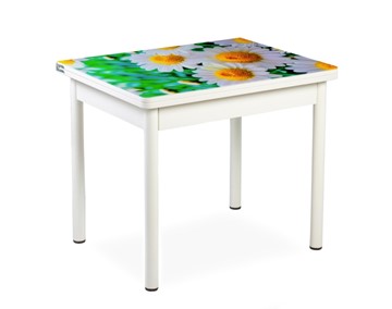 Кухонный пристенный стол СПА-01 СТФ, белый/фотопечать ромашки/опоры прямые белые в Саратове