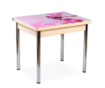 Кухонный пристенный стол СПА-01 СТФ, молочный дуб/фотопечать орхидея/опоры прямые хром в Энгельсе