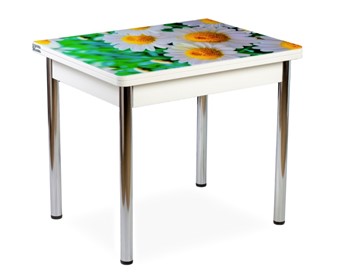 Кухонный пристенный стол СПА-02 СТФ, белый/фотопечать ромашки/опоры хром в Саратове
