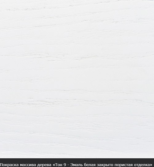 Стол раздвижной Фабрицио-1 исп. Круг 820, Тон 9 (Морилка/Эмаль) в Саратове - изображение 16