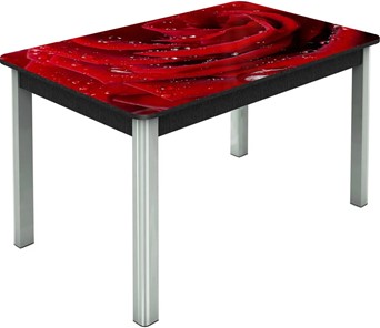 Кухонный раздвижной стол Гамбург исп. Мини, ноги метал. крашеные №23, Фотопечать (Цветы №39) в Балаково