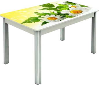 Кухонный раздвижной стол Гамбург исп.2 ноги метал. крашеные №23, Фотопечать (Цветы №3) в Саратове