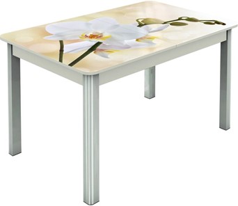 Обеденный раздвижной стол Гамбург исп.2 ноги метал. крашеные №23, Фотопечать (Цветы №5) в Энгельсе