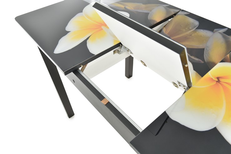 Обеденный раздвижной стол Гамбург исп.2 ноги метал. крашеные №23, Фотопечать (Текстура №58) в Саратове - изображение 5