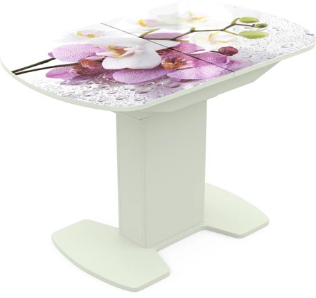 Кухонный раскладной стол Корсика исп. 1 Фотопечать (Цветы №44) 1100(1415)*700 в Саратове - изображение
