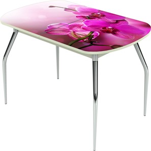 Кухонный раскладной стол Ривьера исп.1 ноги метал. крашеные №24 Фотопечать (Цветы №16) в Энгельсе