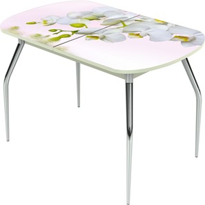 Кухонный раскладной стол Ривьера исп.1 ноги метал. крашеные №24 Фотопечать (Цветы №7) в Саратове