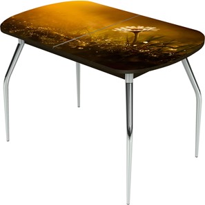 Раздвижной стол Ривьера исп.2 ноги метал. крашеные №24 Фотопечать (Цветы №43) в Энгельсе