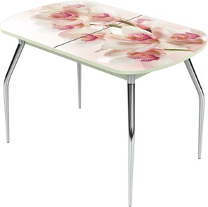 Кухонный стол раскладной Ривьера исп.2 ноги метал. крашеные №24 Фотопечать (Цветы №8) в Саратове