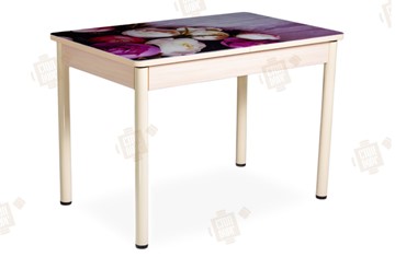 Кухонный стол раскладной Айсберг-01 СТФ, дуб/фотопечать пионы/ноги крашеные в Энгельсе