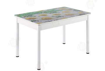 Кухонный стол раскладной Айсберг-01 СТФ, дуб/фотопечать ромашки/ноги крашеные в Энгельсе