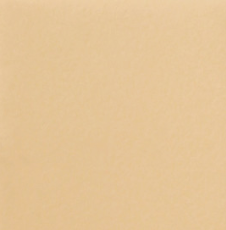 Стул обеденный Роджер Эконом С102-2(стандартная покраска) в Энгельсе - предосмотр 9