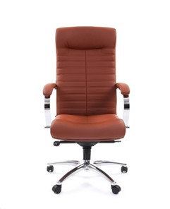 Компьютерное кресло CHAIRMAN 480 Экокожа Terra 111 (коричневая) в Саратове - предосмотр 1