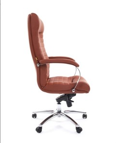 Компьютерное кресло CHAIRMAN 480 Экокожа Terra 111 (коричневая) в Саратове - предосмотр 2