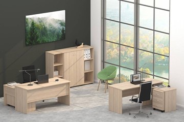 Комплект офисной мебели Twin в Саратове - предосмотр 4