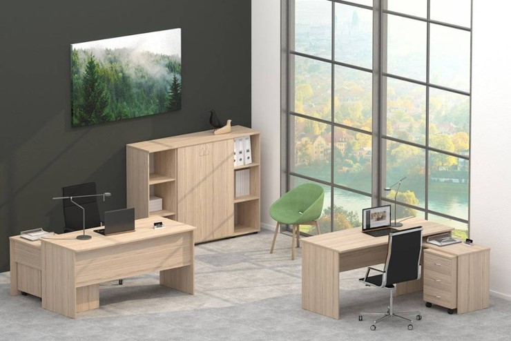 Комплект офисной мебели Twin в Энгельсе - изображение 4
