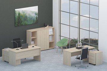 Набор мебели в офис Twin для 2 сотрудников со шкафом для документов в Саратове - предосмотр