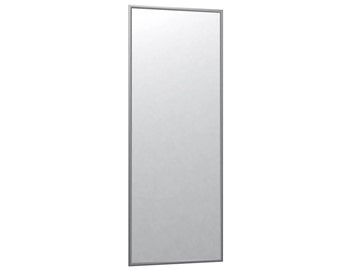 Зеркало навесное в спальню Сельетта-6 матовое серебро (1100х400х9) в Энгельсе