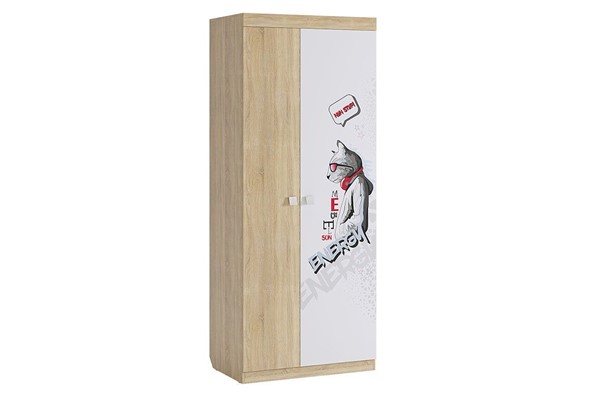 Распашной шкаф Энерджи, двухстворчатый в Саратове - изображение