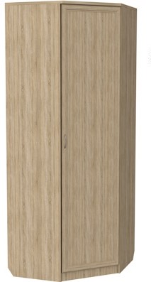 Шкаф распашной 400 угловой, цвет Дуб Сонома в Саратове - изображение