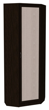 Шкаф 402 угловой со штангой, цвет Венге в Саратове - изображение