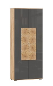 Шкаф двухстворчатый Фиджи с декоративными накладками 659.310, Дуб Золотой/Антрацит в Энгельсе