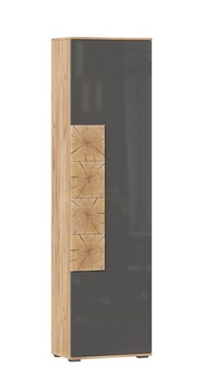 Шкаф одностворчатый Фиджи с декоративными накладками 659.300, Дуб Золотой/Антрацит в Саратове - изображение