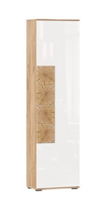 Шкаф одностворчатый Фиджи с декоративными накладками 659.300, Дуб Золотой/Белый в Саратове