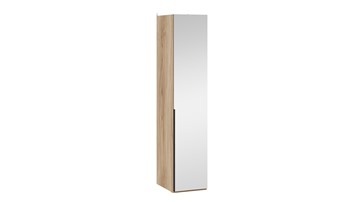 Шкаф с 1 зеркальной дверью Порто (580) СМ-393.07.002 (Яблоня Беллуно/Графит) в Энгельсе