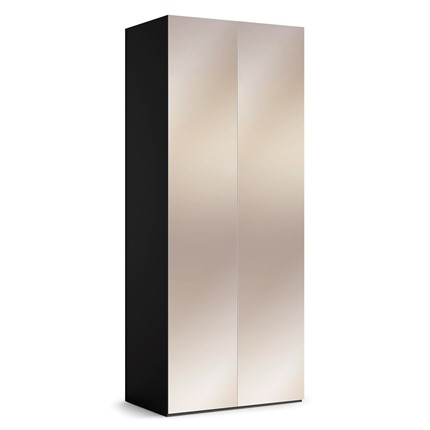 Шкаф с зеркальными фасадами Марсель 900 (черный) в Энгельсе - изображение