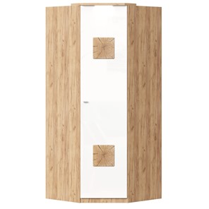 Шкаф угловой 45 с декоративной накладкой Фиджи, 659.248, белый в Саратове - предосмотр