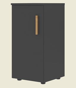 Шкаф колонна низкий с глухой левой дверью FORTA Черный Графит FLC 40.1 (L) (399х404х801) в Саратове