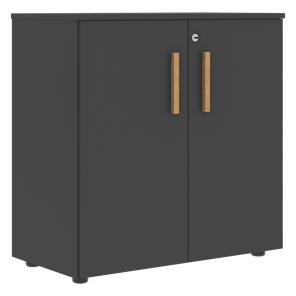 Шкаф широкий низкий с малыми дверцами FORTA Черный Графит FLC_80.1_Z__grafit.png FLC 80.1(Z) (798х404х801) в Саратове